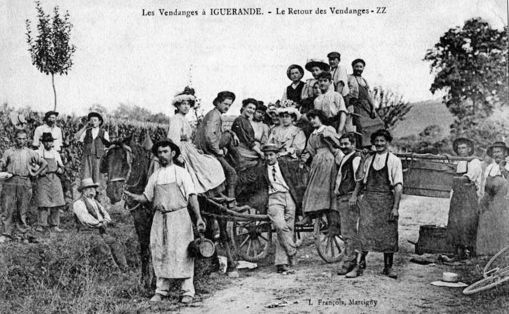 iguerande 18 vendanges